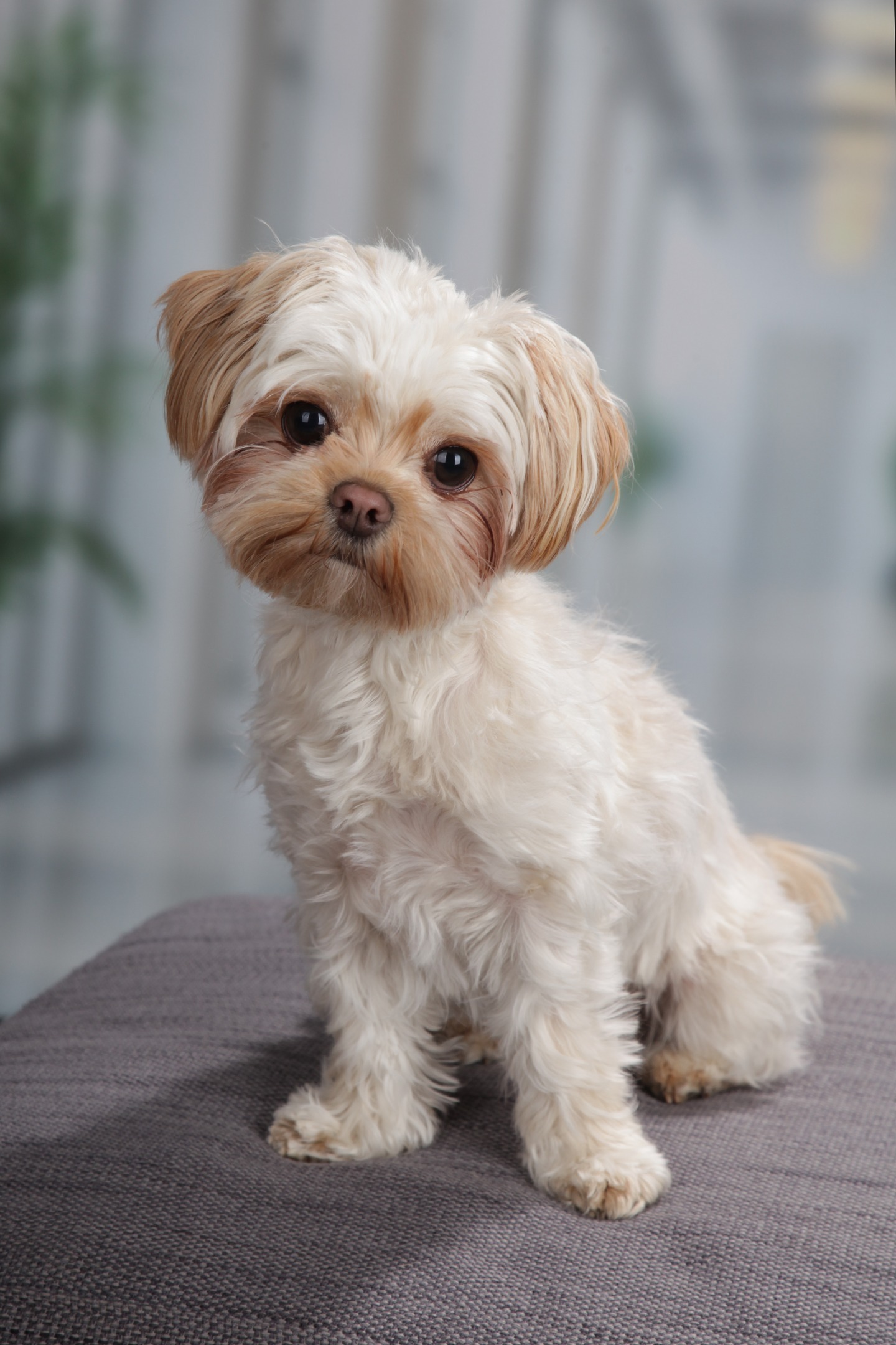 Coco, Feel-Good-Managerin